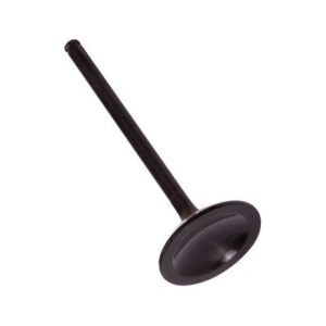 Kibblewhite Black Diamond Intake Valve