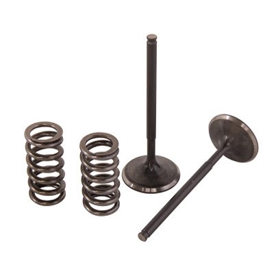 Pro X Steel Intake Valve/Spring Kit