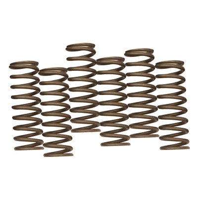 Hinson Hi-Temp Clutch Spring Kit